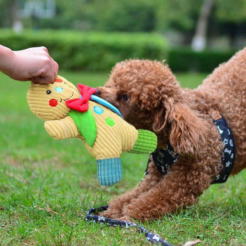 

Christmas Plush Gingerbread Man Pet Chew Squeaker Toy, Yellow, 486793