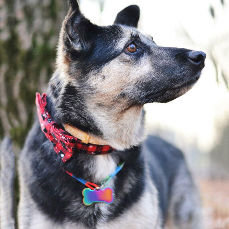 

Buffalo Plaid Snowflake Bowknot Adjustable Pet Collar, Red, 486551
