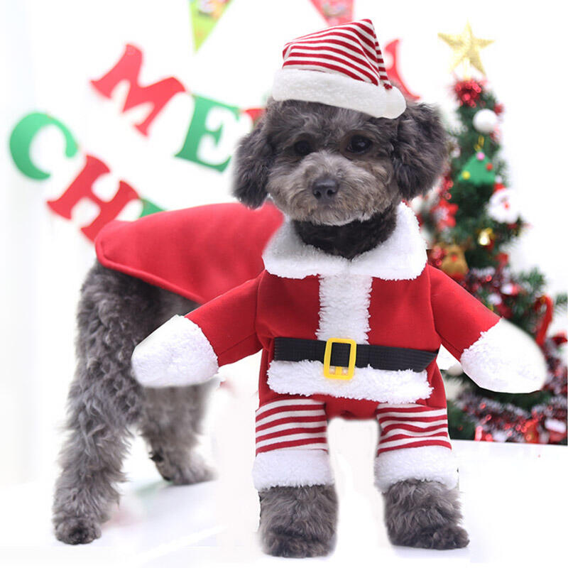 Christmas Striped Santa Claus Pet Dog Costume - Bellelily