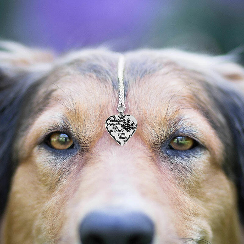 

Creative Dog Paw Rhinestone Heart Pendant Necklace, Silver, 488494