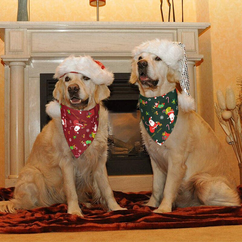 

Christmas Santa Claus Snowflake Pet Triangle Scarf, Green;red, 488794