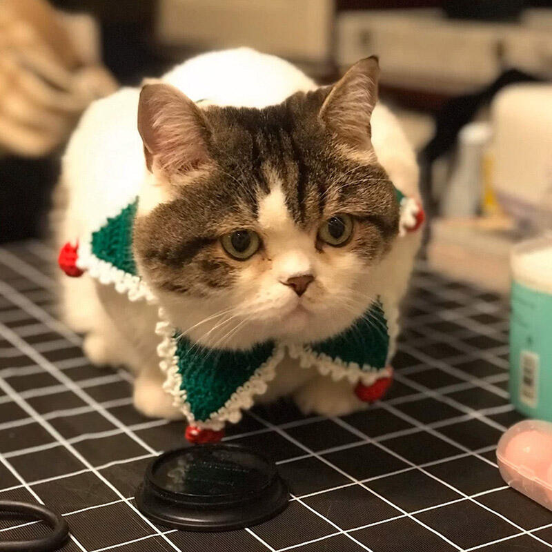 

Christmas Cute Pet Cat Adjustable Drawstring Neck Bib Scarf, Red, 488989