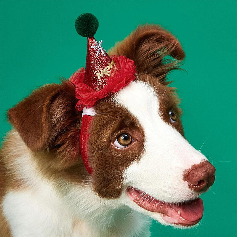 

Adjustable Pompom Ball Snowflake Pet Dog Christmas Hat, Green;red, 490477
