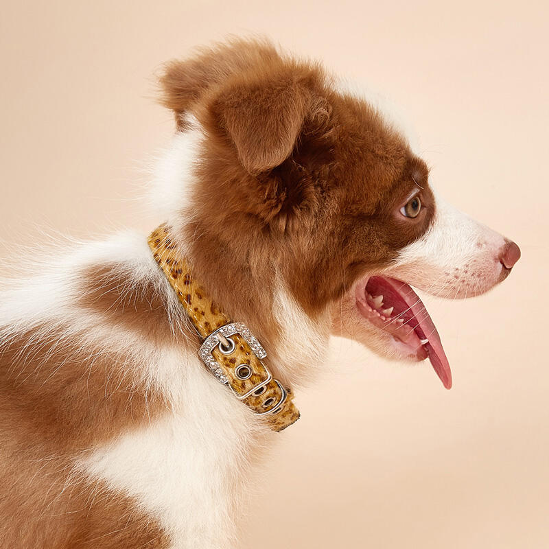 

Leopard Sequined Buckle Strap Pet Collar - Yellow, 491931