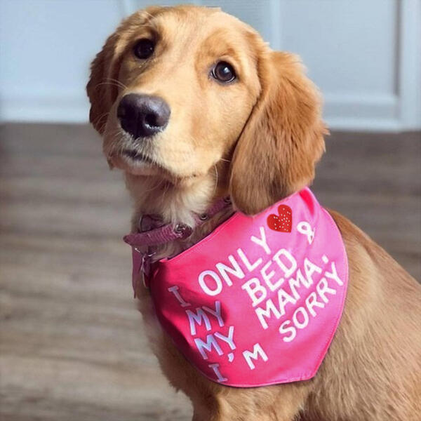 

I Only Love My Bed And My Mama Pet Dog Collar Scarf, Pink, 493388