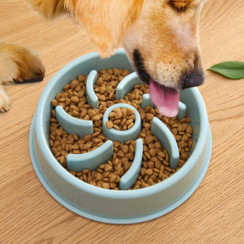 

Eco-Friendly Healthy Pet Slow Feeder Bowl, Light blue, 494297
