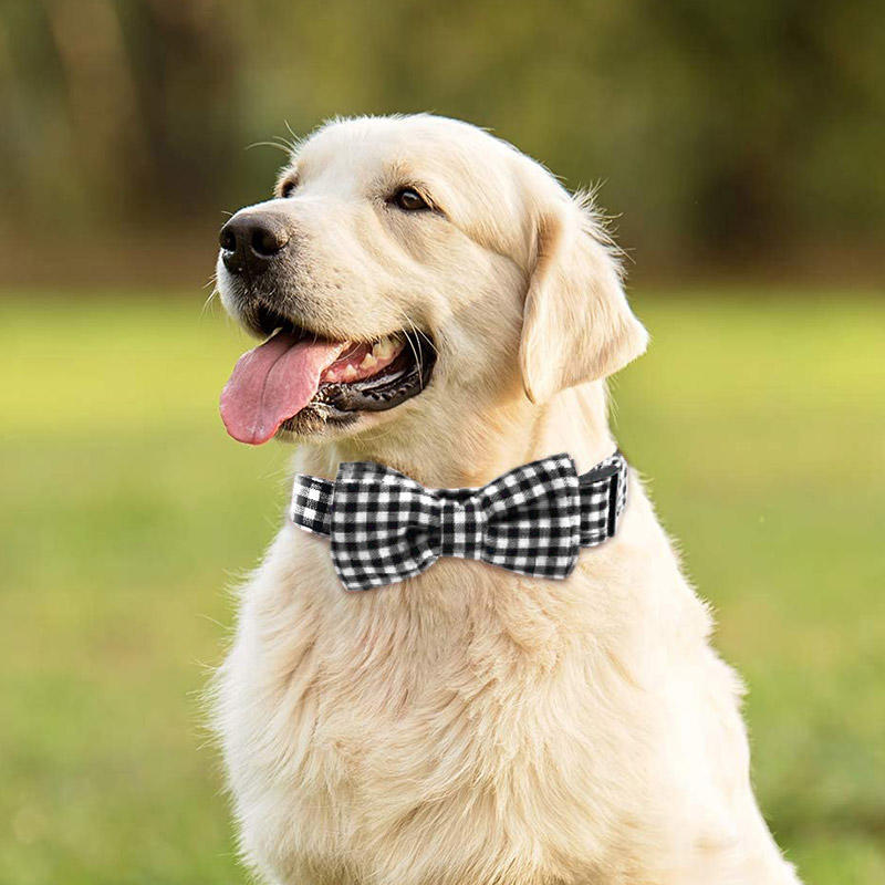 

Plaid Bowtie Adjustable Pet Dog Neck Collor, Black, 494440