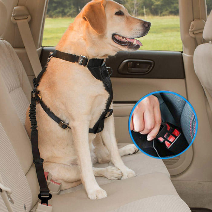 

Adjustable Pet Dog Car Seat Belt, Black, 495337