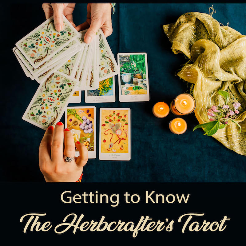 

The Herbcrafter's Tarot Deck, Multicolor, 501586