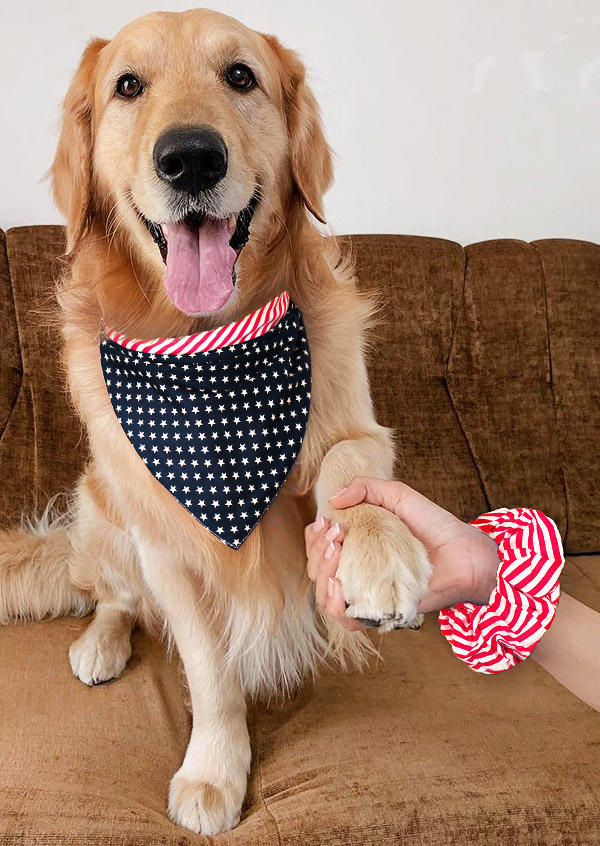 

American Flag Star Striped Pet Triangle Scarf And Scrunchy Set, Red, 505605