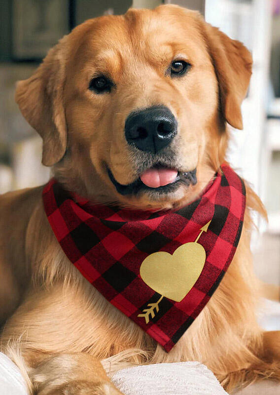 

Plaid Arrow Through The Heart Pet Triangle Scarf, Red, 493198