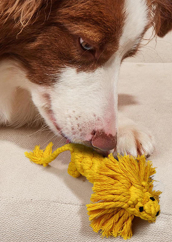 

Weaving Lion Shape Pet Dog Chew Molar Toy, Yellow, 499222