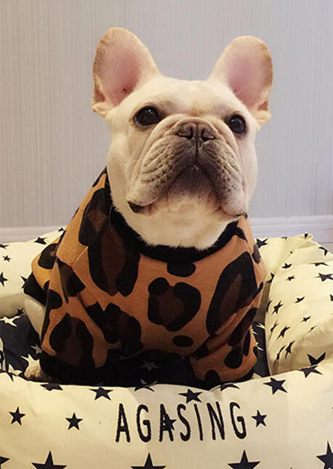 

Winter Leopard Warm Pet Dog Sweatshirt, Multicolor, 490851