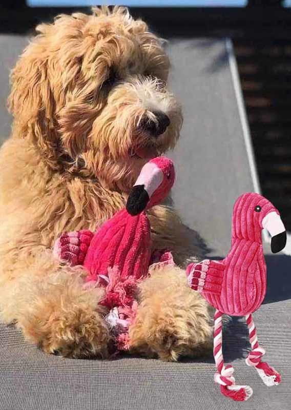 

Plush Flamingo Squeaky Pet Dog Chew Toy, Red, 502047