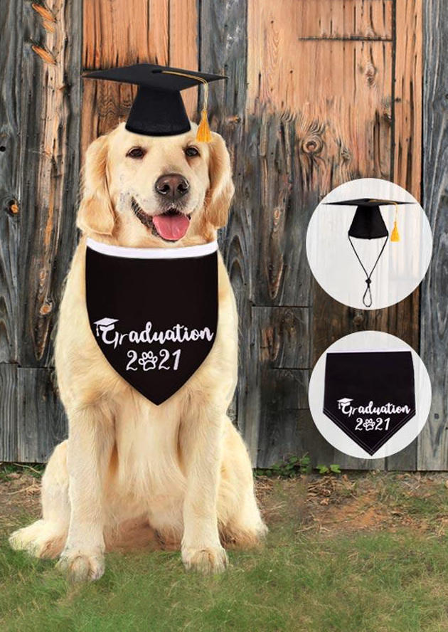 

2Pcs Adjustable Pet Graduate Hat And Triangle Scarf Set, Black, 502849
