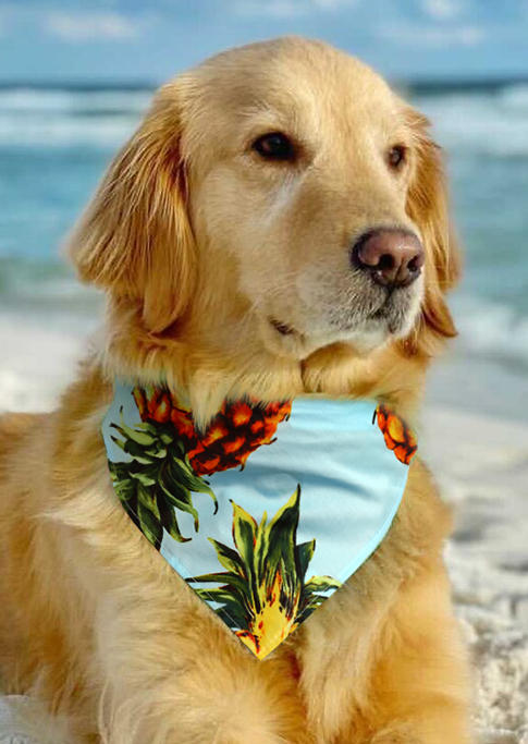 

Summer Pineapple Pet Triangle Scarf, Blue, 501684