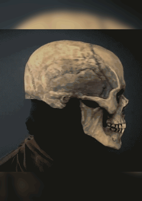 

Halloween Full Head Skull Mask With Movable Jaw, Gray, 513153