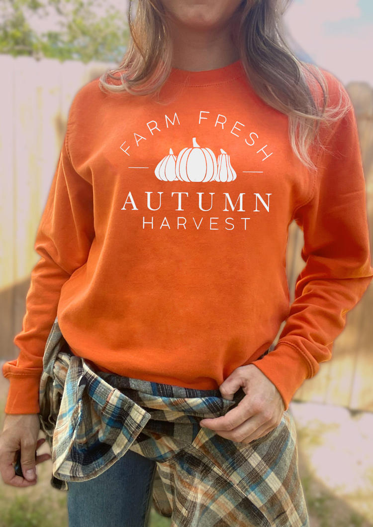 

Farm Fresh Autumn Harvest Pumpkin Sweatshirt - Orange, 517895