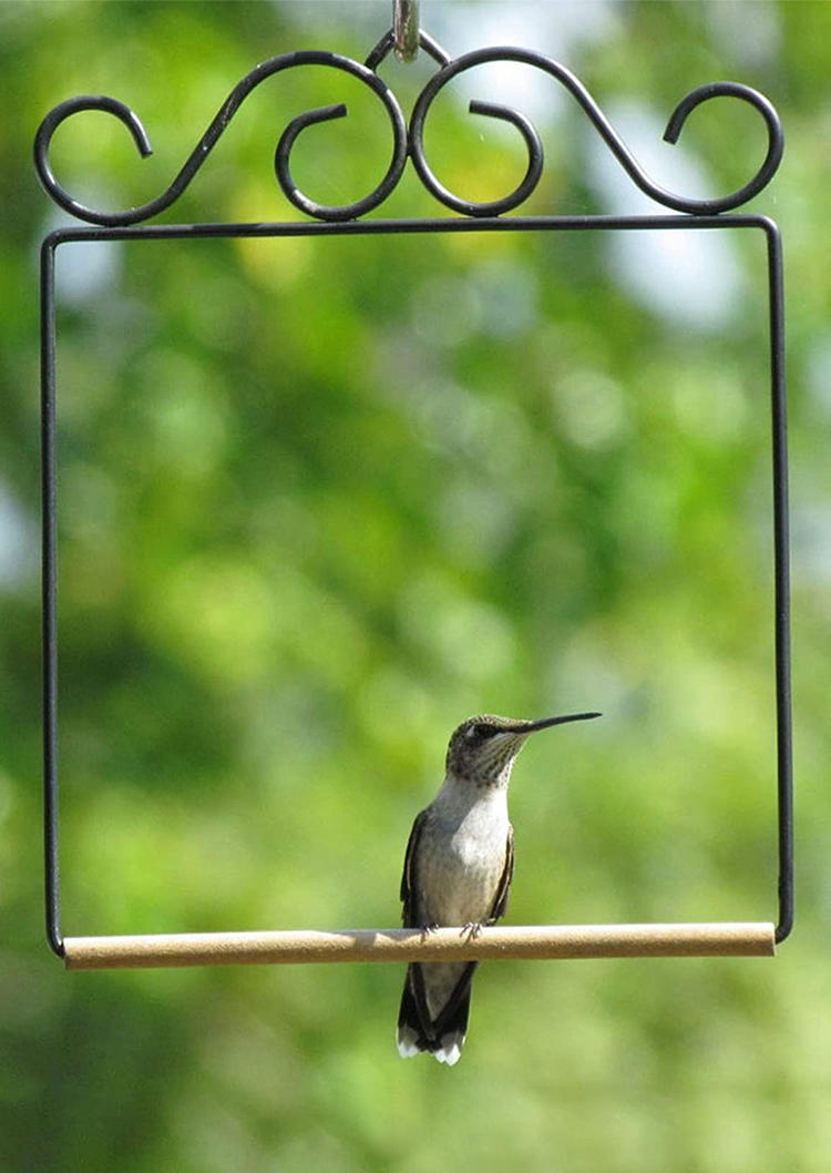 

Geometric Hummingbird Stained Window Hangings, Pattern1;pattern2, 526887