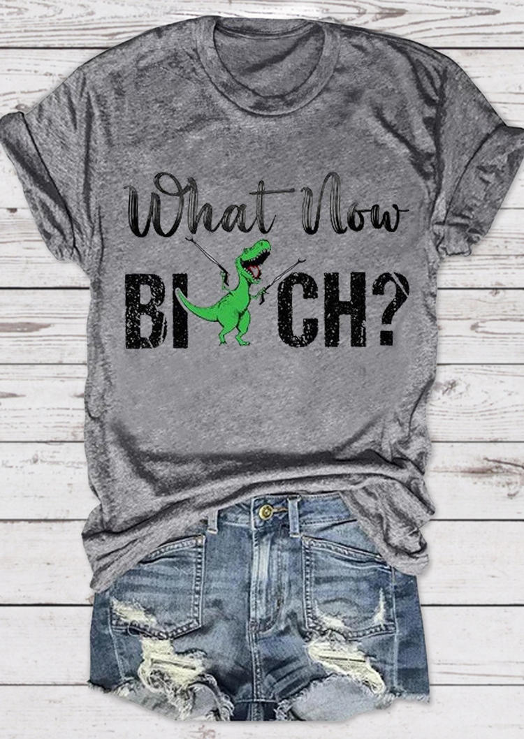 

What Now b!tch Dinosaur V-Neck T-Shirt Tee - Gray, 530033