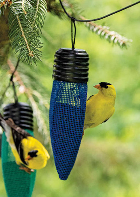 

Outdoor Hanging Bird Feeder Ornament, Green;blue;burgundy, 535952