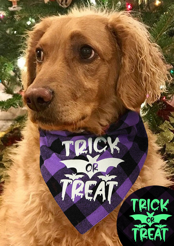

My First Halloween Plaid Pet Triangle Scarf, Purple, SCM005829