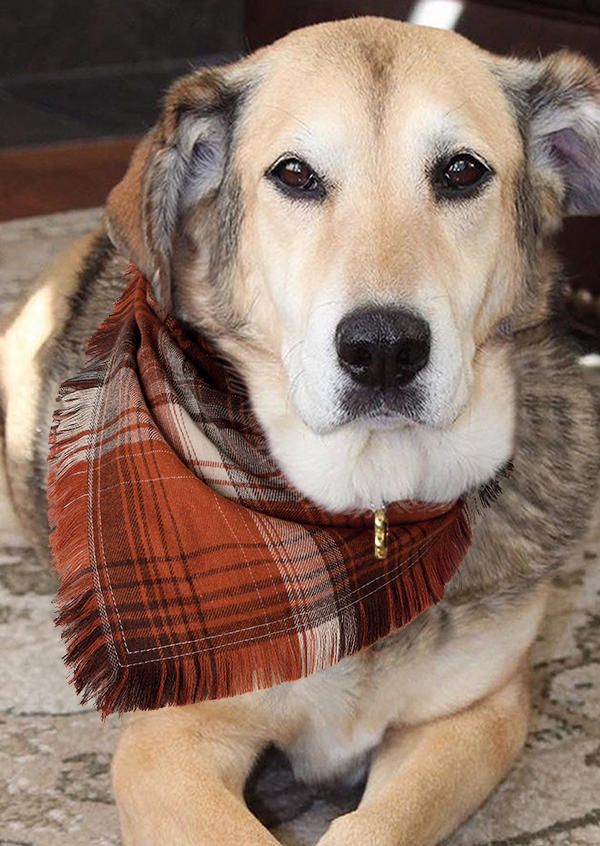 

Plaid Tassel Pet Triangle Scarf, Red, SCM006039