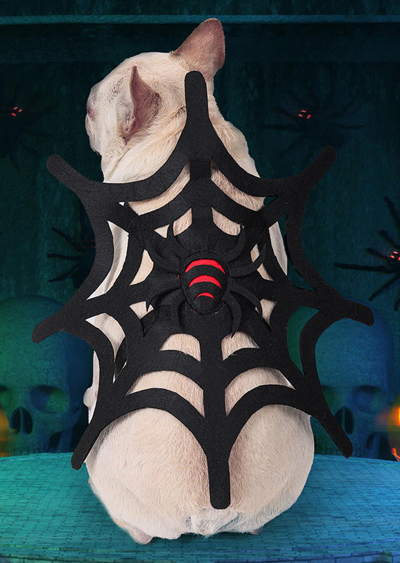 

Halloween Spider Web Pet Costume, Black, SCM007296