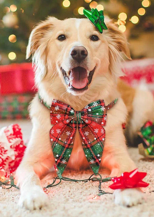 Christmas Snowflake Plaid Pet Collar