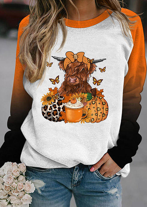 

Leopard Pumpkin Drink Sunflower Butterfly Highland Cattle Gradient Sweatshirt - White, SCM019991